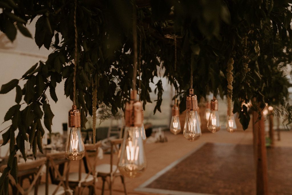 Edison Lights floral installation